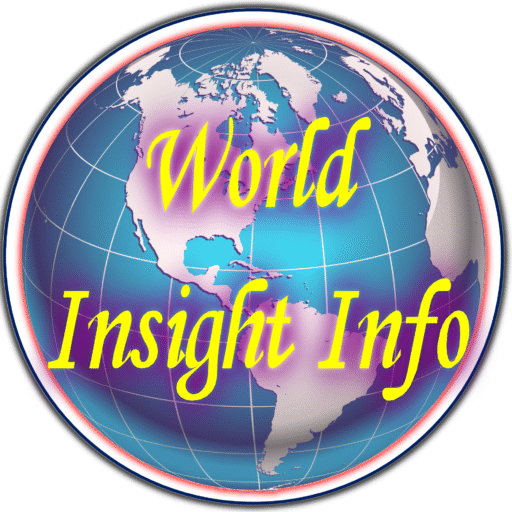world-insightinfo.com